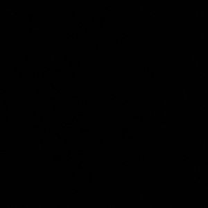 White Seamless skirt